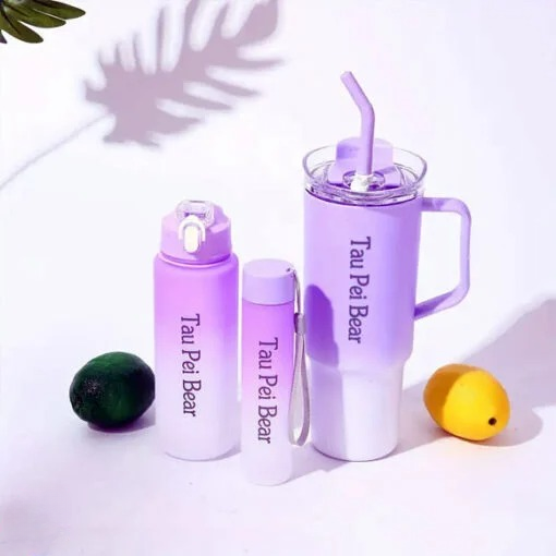 3-Pack Reusable Tumbler Bottles with Lids and Straws