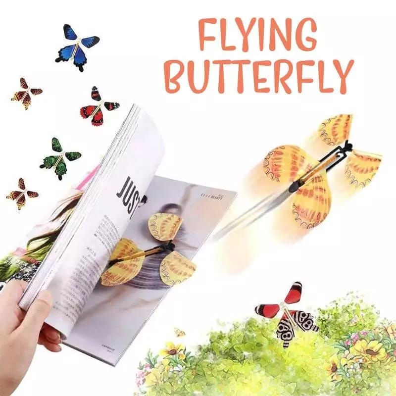 Flying Butterfly - Pack of 2 - Easy Wholesale