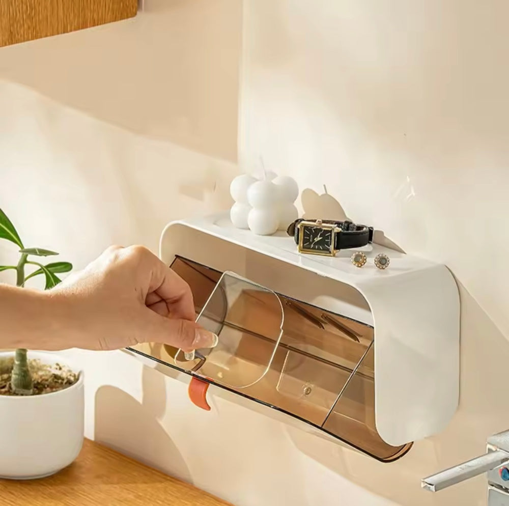 Wall Mounted Organizer With Adjustable Dividers