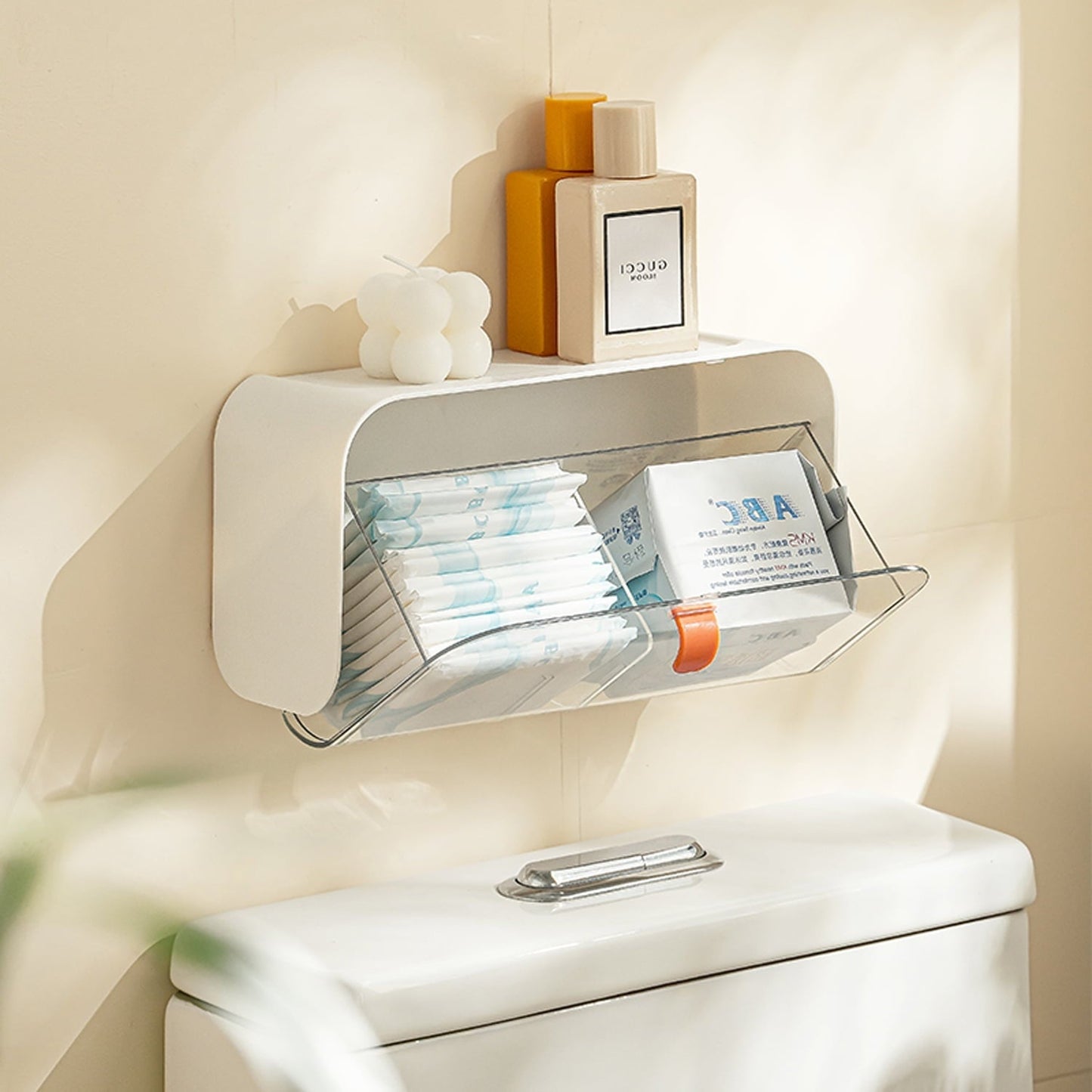 Wall Mounted Organizer With Adjustable Dividers