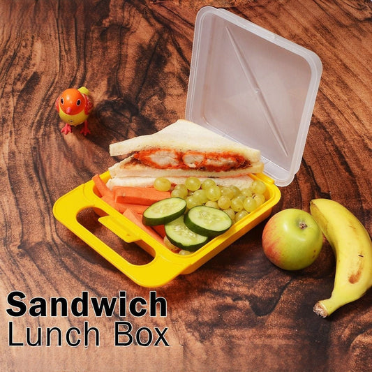 Lunch Box Set With Fork. - Easy Wholesale