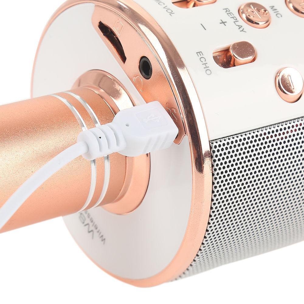 Wireless Microphone Hifi Speaker. - Easy Wholesale